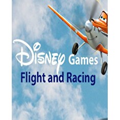ESD Disney Flight and Racing