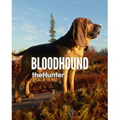 ESD theHunter Call of the Wild Bloodhound