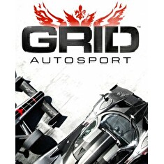 ESD GRID Autosport