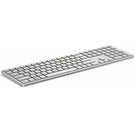 HP 970 Programmable Wireless Keyboard CzSk