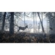 ESD theHunter Call of the Wild Medved-Taiga