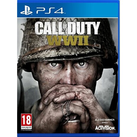 Call of Duty WWII (14) PS4 EN